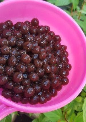 Hình của món Trân châu đen.