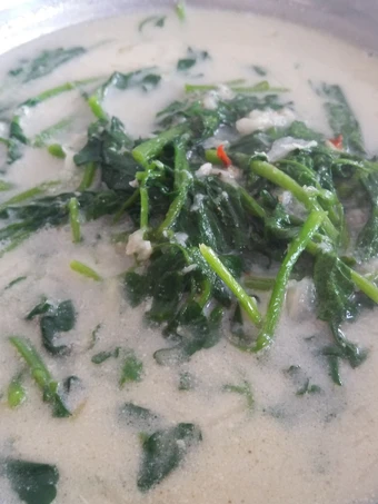 Cara Gampang Membuat Resep Santen Selada Air yang Uenak Anti Ribet, Sempurna