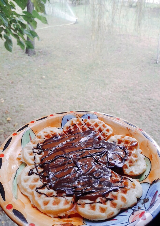 Una foto de Waffles