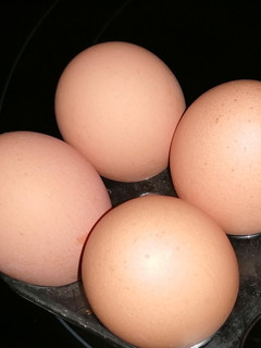 Una foto de Cocer huevos