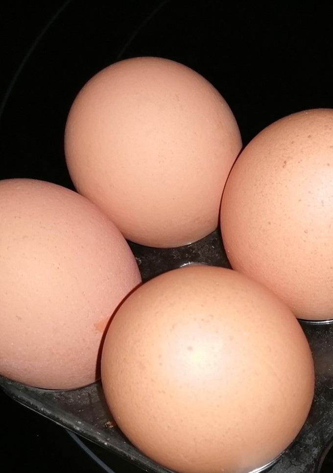 Una foto de Cocer huevos