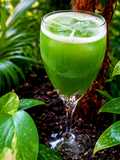 Cucumber Lime Aqua Fresca