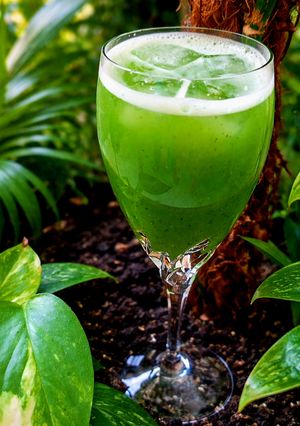 A picture of Cucumber Lime Aqua Fresca.