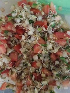 Una foto de Ensalada con brotes germinados de Lentejas