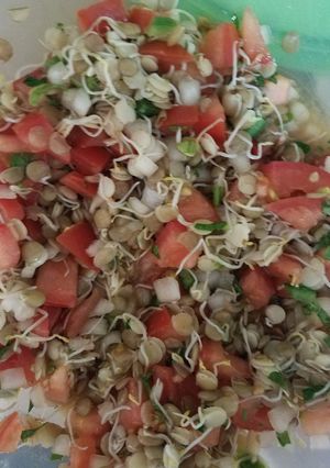 Una foto de Ensalada con brotes germinados de Lentejas