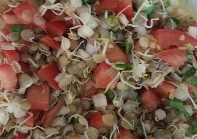 Ensalada con brotes germinados de Lentejas Receta de Magalys Mujica- Cookpad