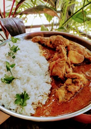 A picture of Chicken curry with white rice.