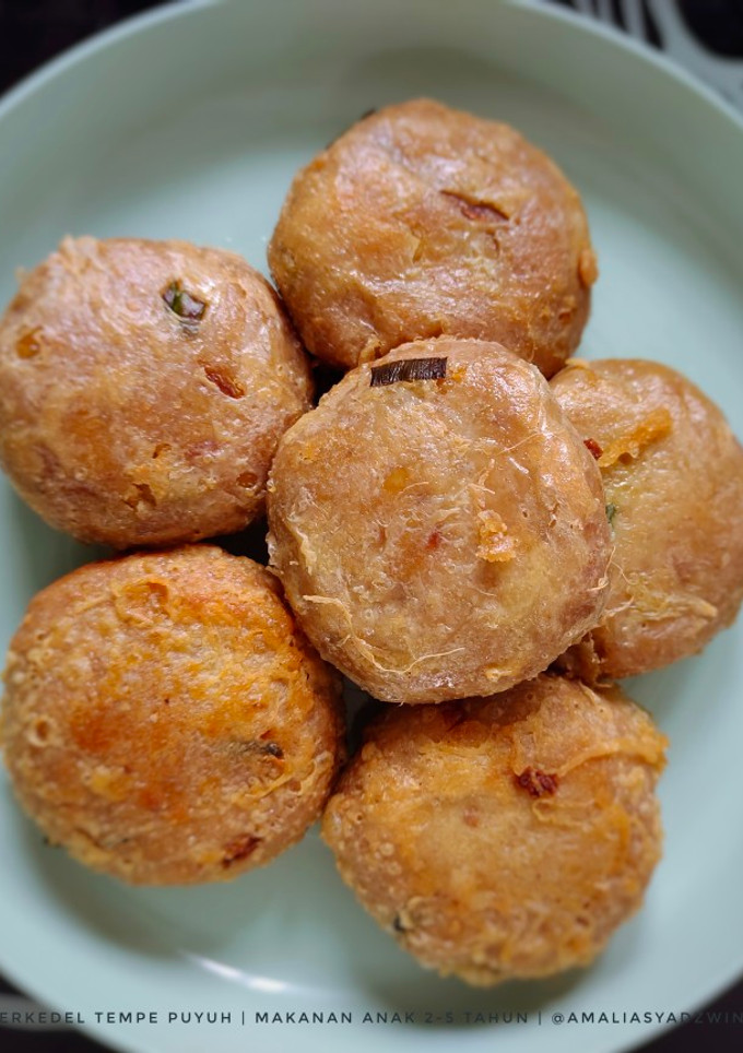 Foto resep Perkedel Tempe Puyuh