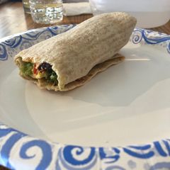 A picture of Hummus wrap.