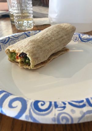 A picture of Hummus wrap.