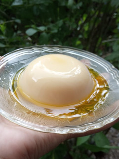 Foto resep Silky Puding Mangga