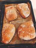 Sourdough ciabatta bread