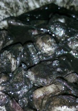 Foto resep Cumi kuah item dari tinta cumi