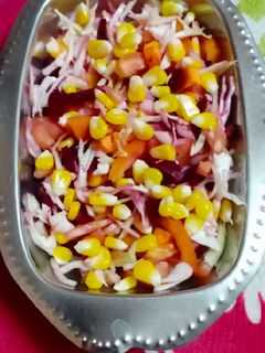 વેજીટેબલ સલાડ (Vegetable Salad Recipe In Gujarati) રેસીપી મુખ્ય ફોટો