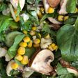 Mixed Salad with Basil Olive Oil