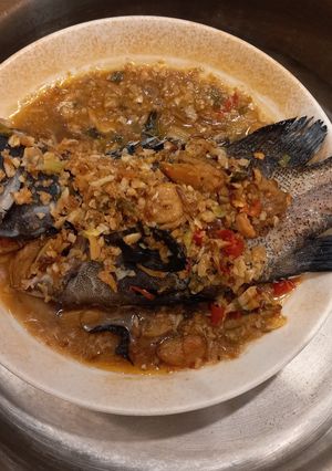 清蒸石斑魚 的食譜成品照片