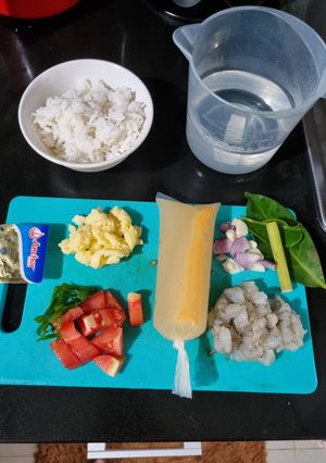 Foto resep Bubur Udang Tofu - MPASI 6m+