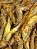 Ikan Beunteur Goreng