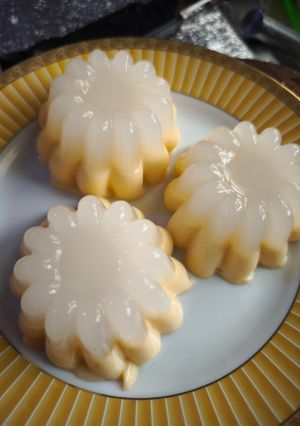 Foto resep Silky pudding + jelly Kelapa