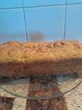 Budín de perejil