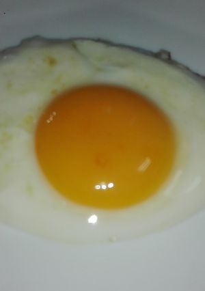 Foto principal de Parodia del huevo frito