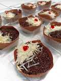 Terbul mini blackforest