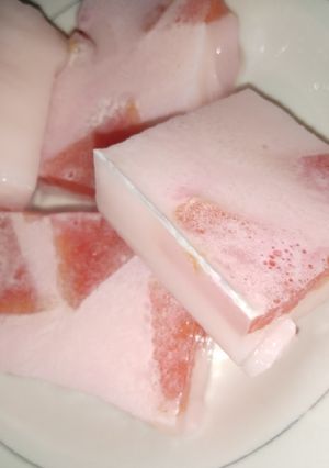 Foto resep Agar2 susu+pepaya
