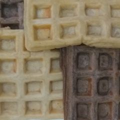 A picture of Waffles.