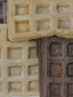 A picture of Waffles.