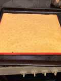 Sponge Cake/Base for Pionono