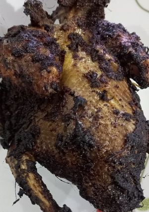 A picture of Airfry pigeon fowl.