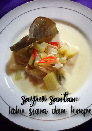 Foto resep Sayur Santan Labu siam Plus Tempe