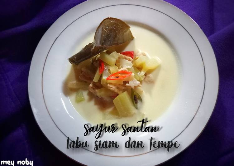 Sayur Santan Labu siam Plus Tempe