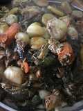 Dolma