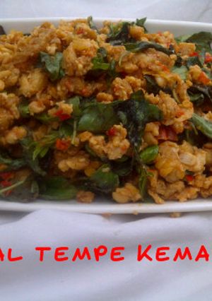 Foto resep Sambal Tempe Kemangi