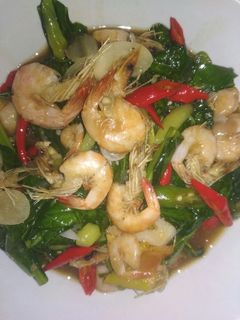 Foto resep Oseng Sawi Udang Saos Tiram