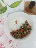 Tumis Teri Takokak(terung pipit)