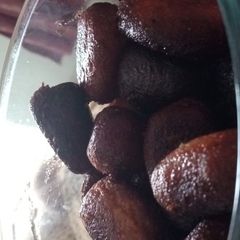 A picture of Kala Jamun with homemade koya.