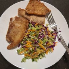 A picture of Fish fillet and salad.