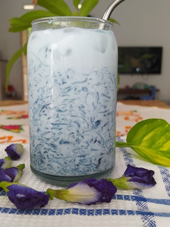 Foto resep Milky Jelly Bunga Telang