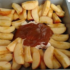 A picture of Aunt Tia's Apple Dip.