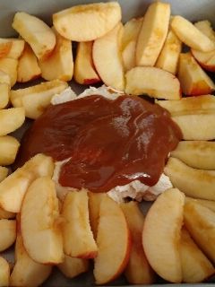A picture of Aunt Tia's Apple Dip.