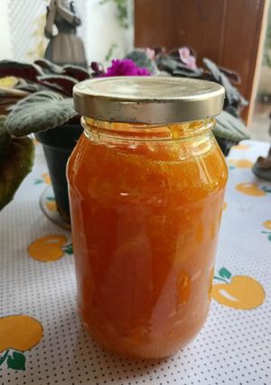 Una foto de Mermelada de naranja y mandarina