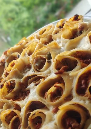 عکسی از دستور لازانیا گل رز