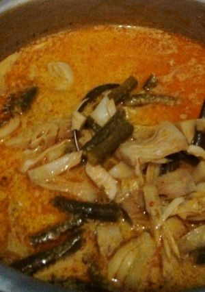 Foto resep Sayur lodeh nangka muda(jawa:tewel)