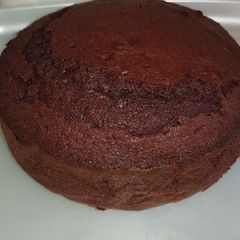 Chocolate sponge cake A picture of Chocolate sponge cake.
