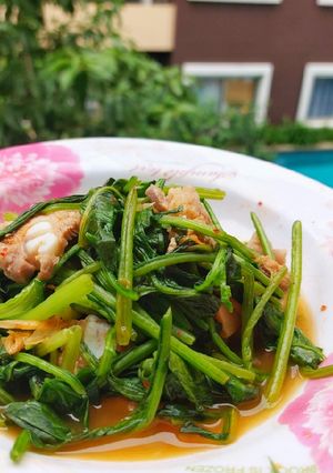 รูปของ ปวยเล้งผัดกิมจิซี่โครงหมูอ่อน