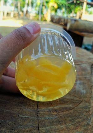 Foto resep Agar-agar nanas