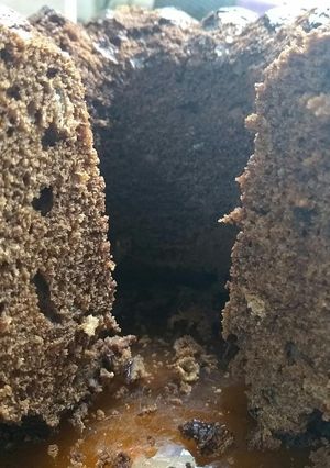 Una foto de Torta Negra Navideña