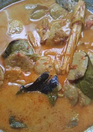 Foto resep Gulai jengkol makyusss